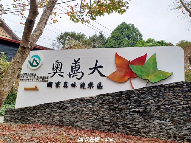 【南投仁愛】光影下的森林療育。 奧萬大國家森林遊樂區步道群_2973065