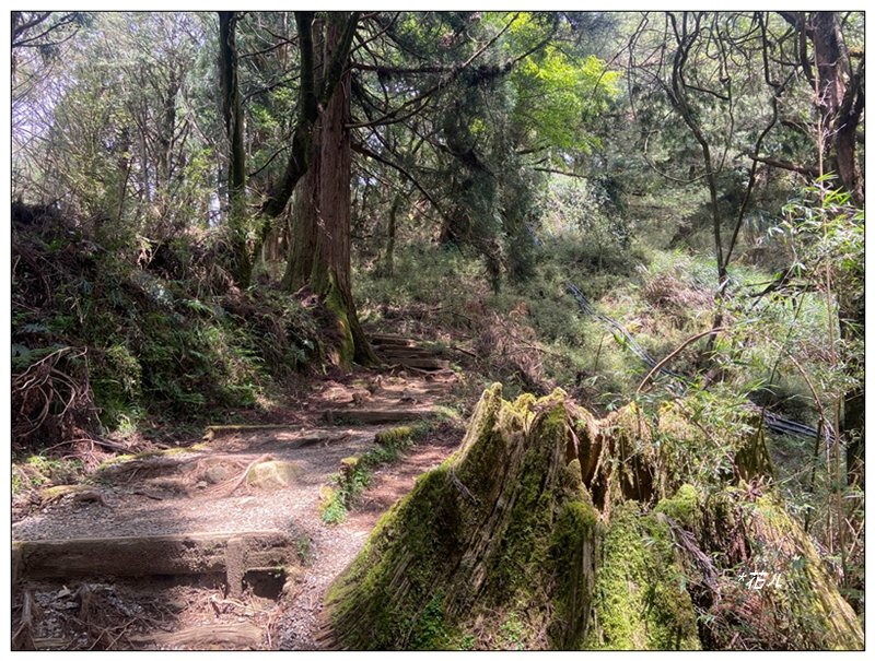 大塔山 (小百岳最高峰)_2773195