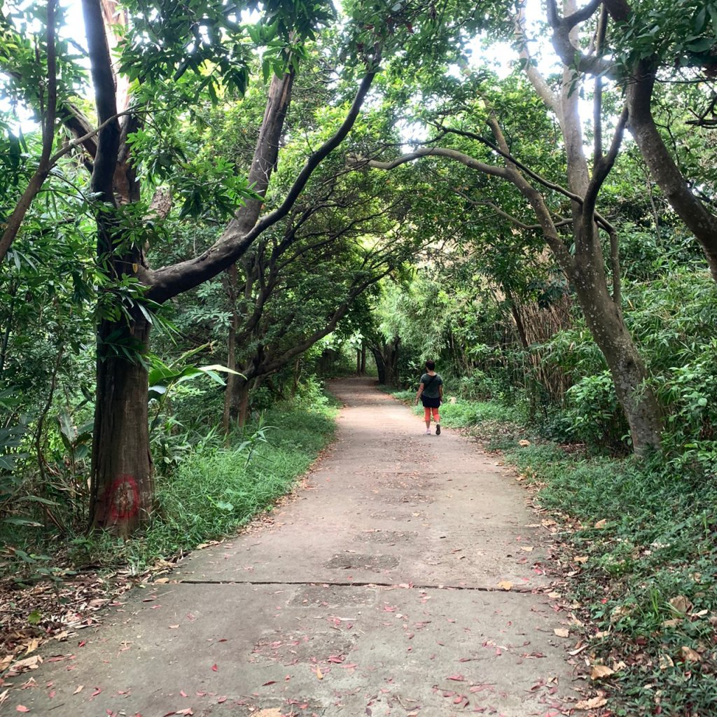 劍潭山、文間山、劍南山縱走_1235775