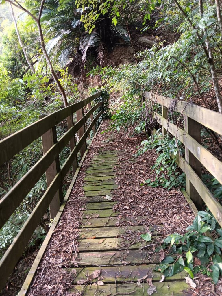 象鼻古道_2656934