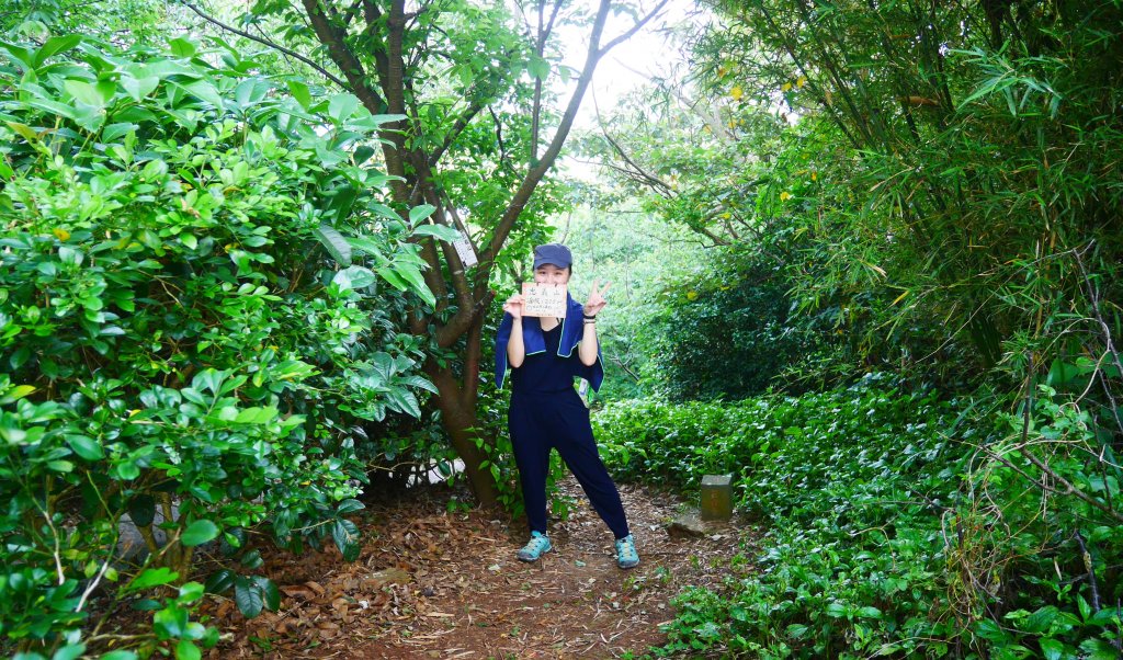 那些我爬過的山_948625