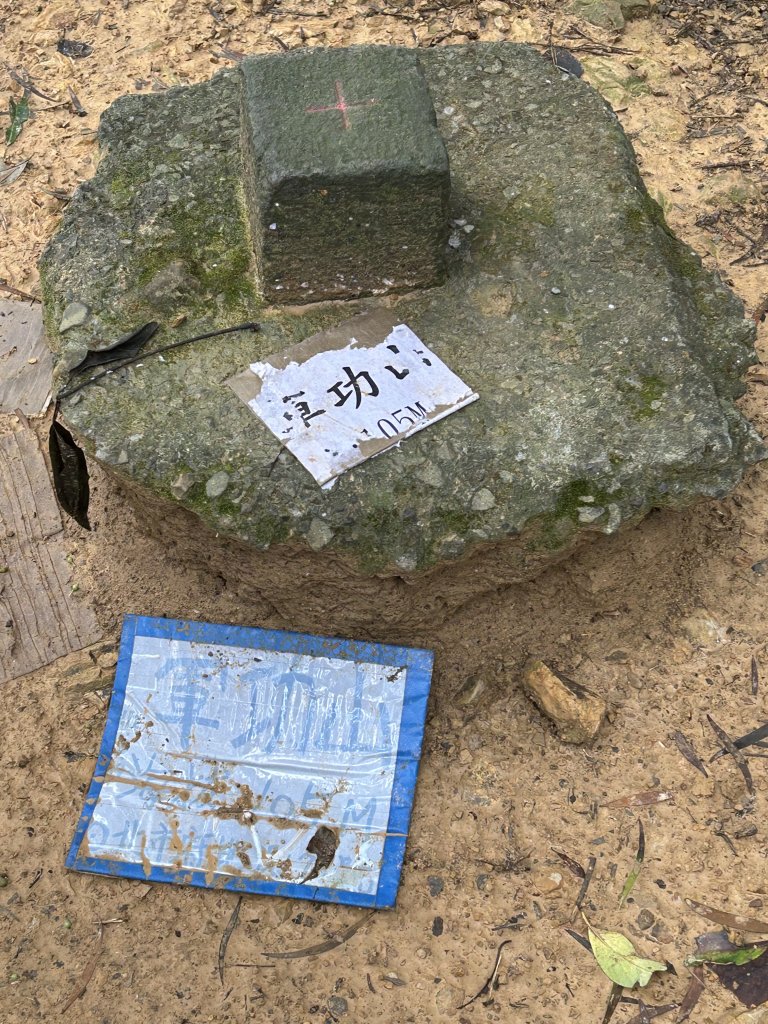 20240303 [台北大縱走6]_2444417