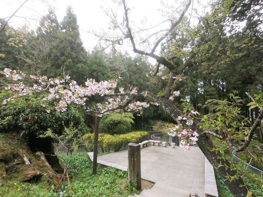 2023尋訪消失的眠月線聚焦失落沉寂的百年鐵道之旅_2109629