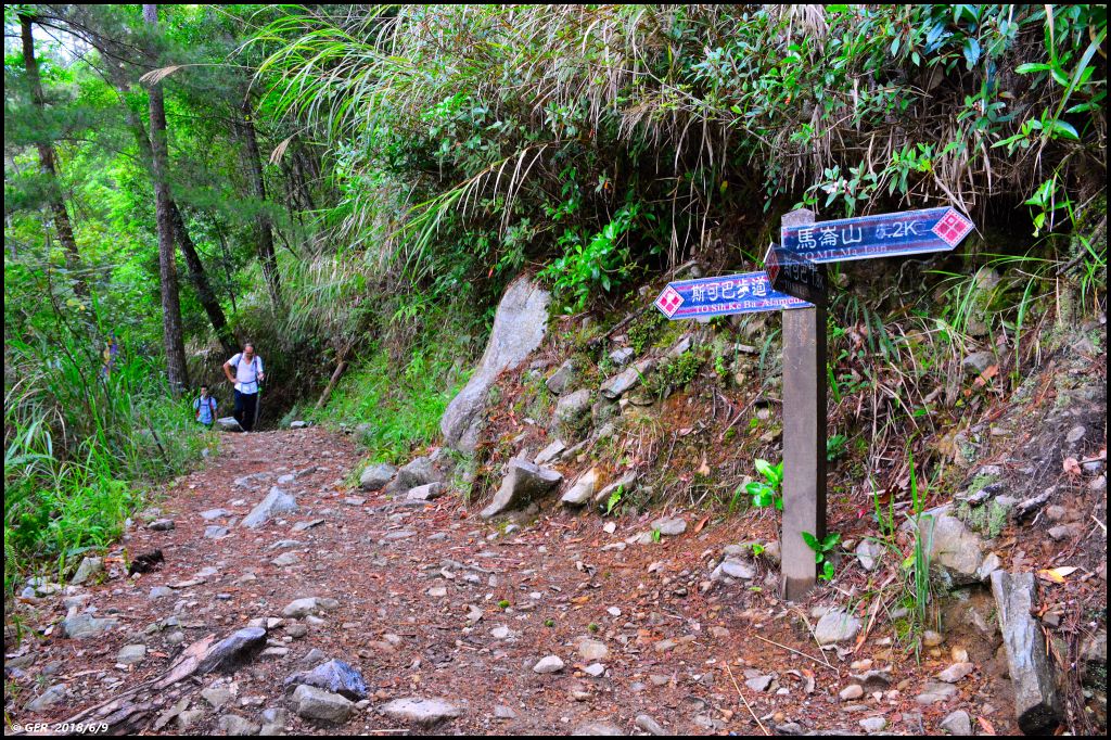 馬崙山..華麗的森林步道..谷關七雄 _350438