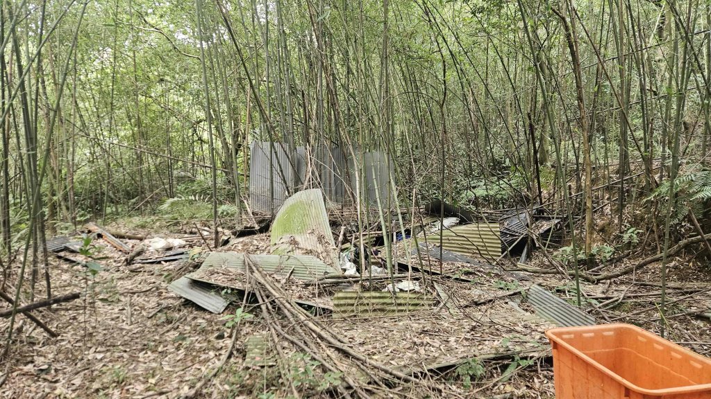 20260224興基坑古道-淡基橫斷古道-界寮縱走o型_3007568