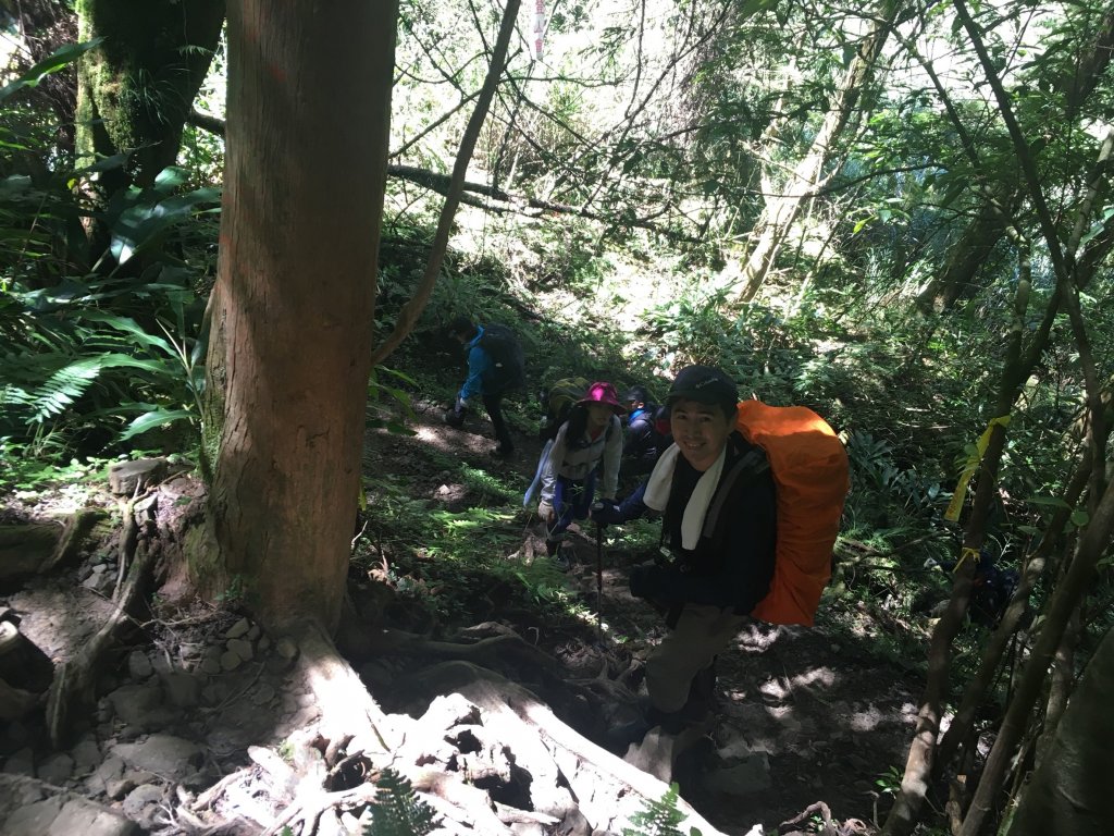 水樣森林 第一次在山裡過夜_658489