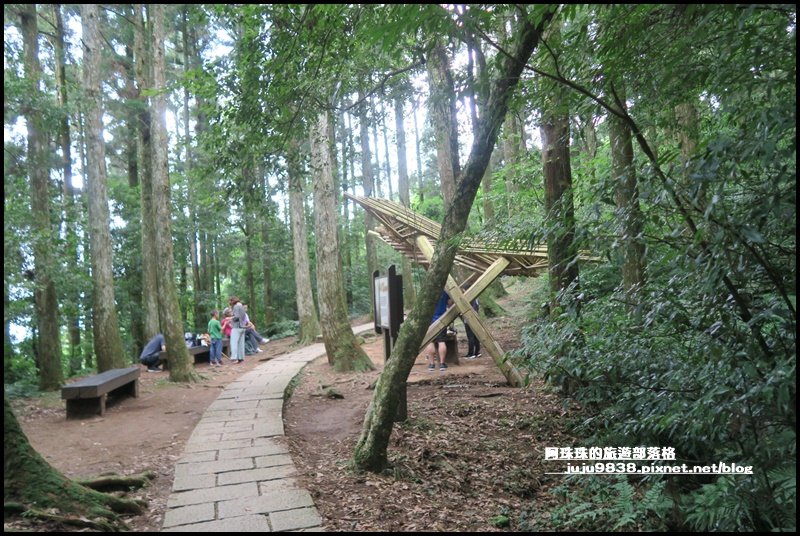東眼山打卡新亮點森林裡的木構裝置藝術_1021755