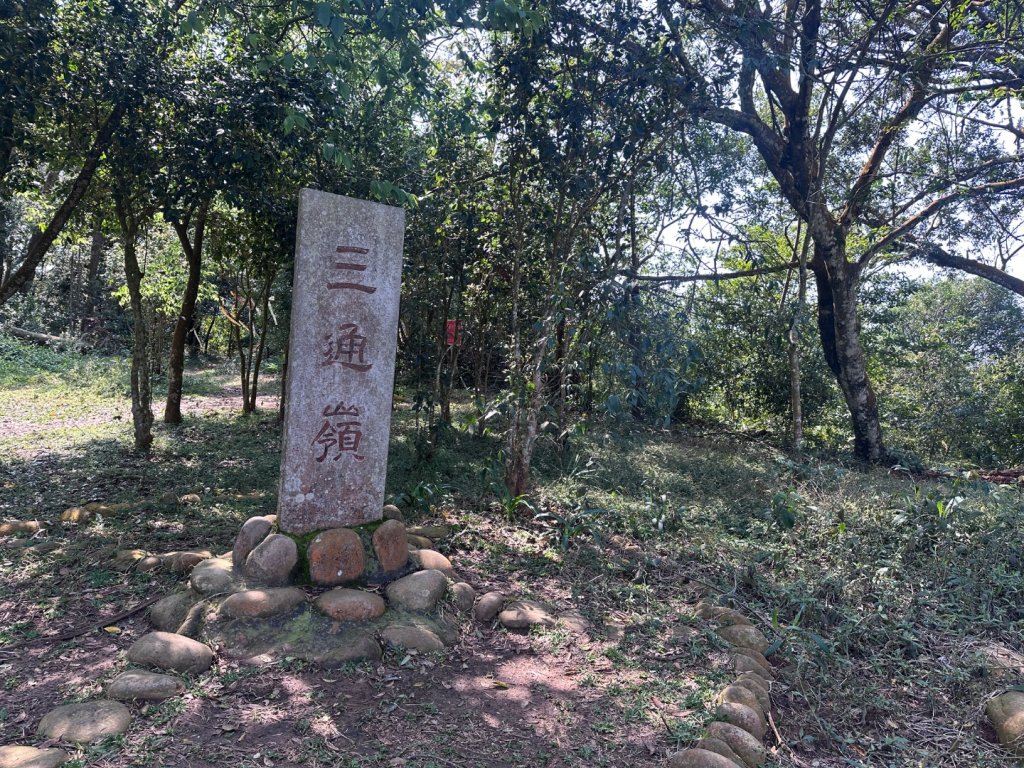 挑炭古道｜三通嶺古道_2730432