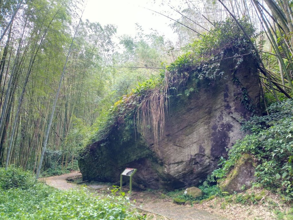 大凍山 霹靂山 迴頭嶺 多林 頂湖_1006893