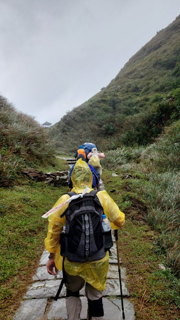20221105-草嶺古道+桃源谷步道_1902583