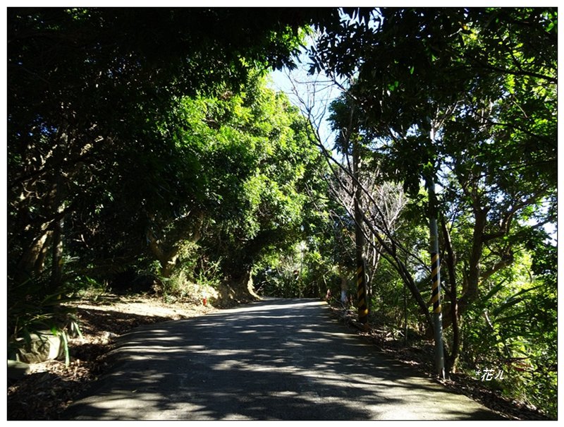 老鼠崎登山步道、觀雲嶺、三汀山_1964013