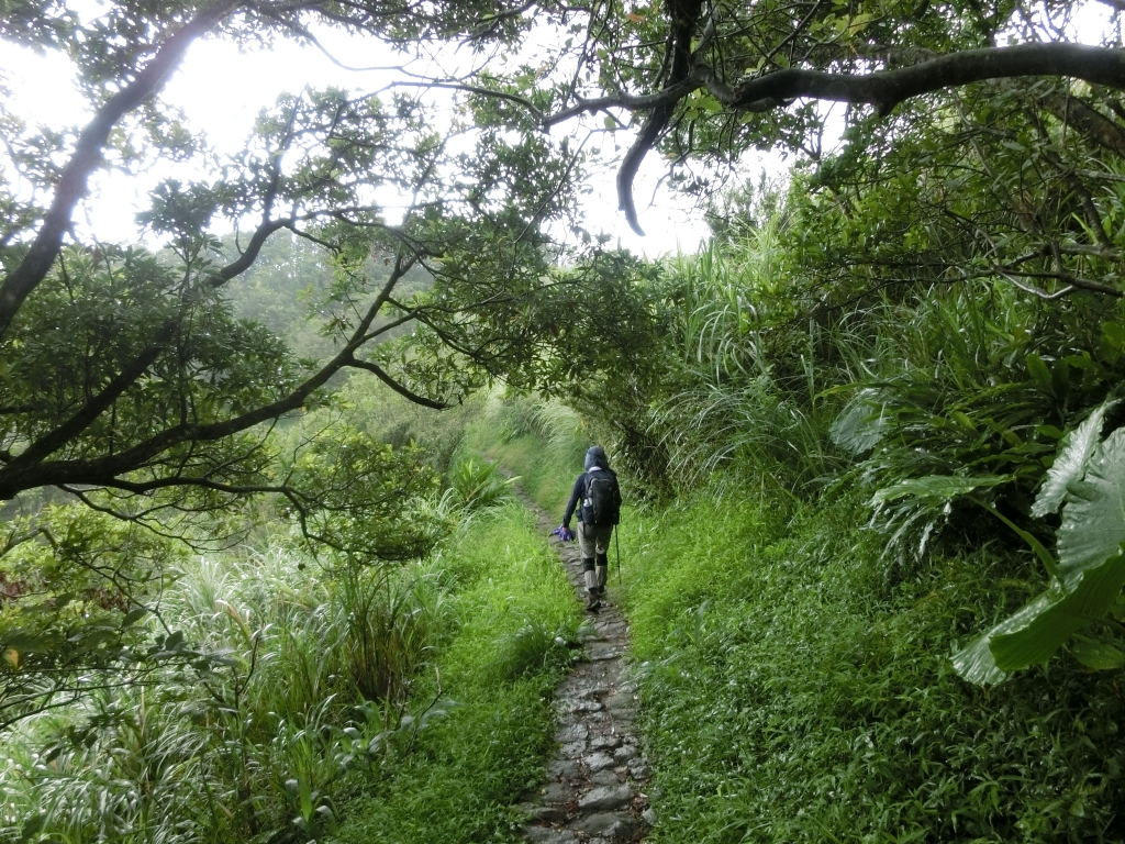 石梯嶺．頂山．風櫃嘴_95070