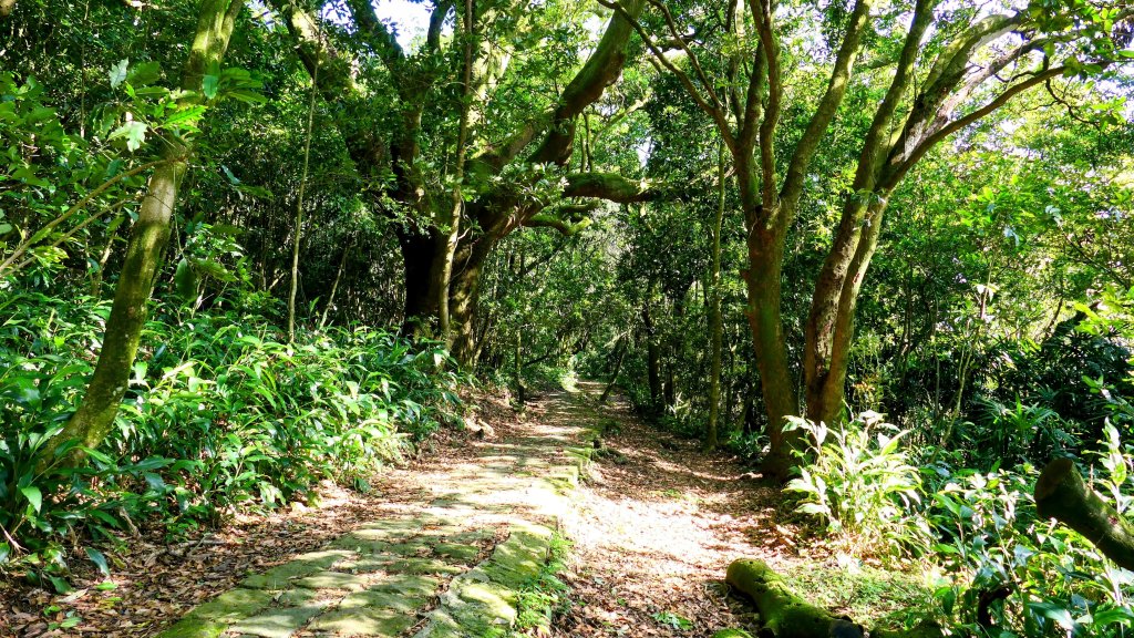 猴崁古道。盧特訪積_2773364