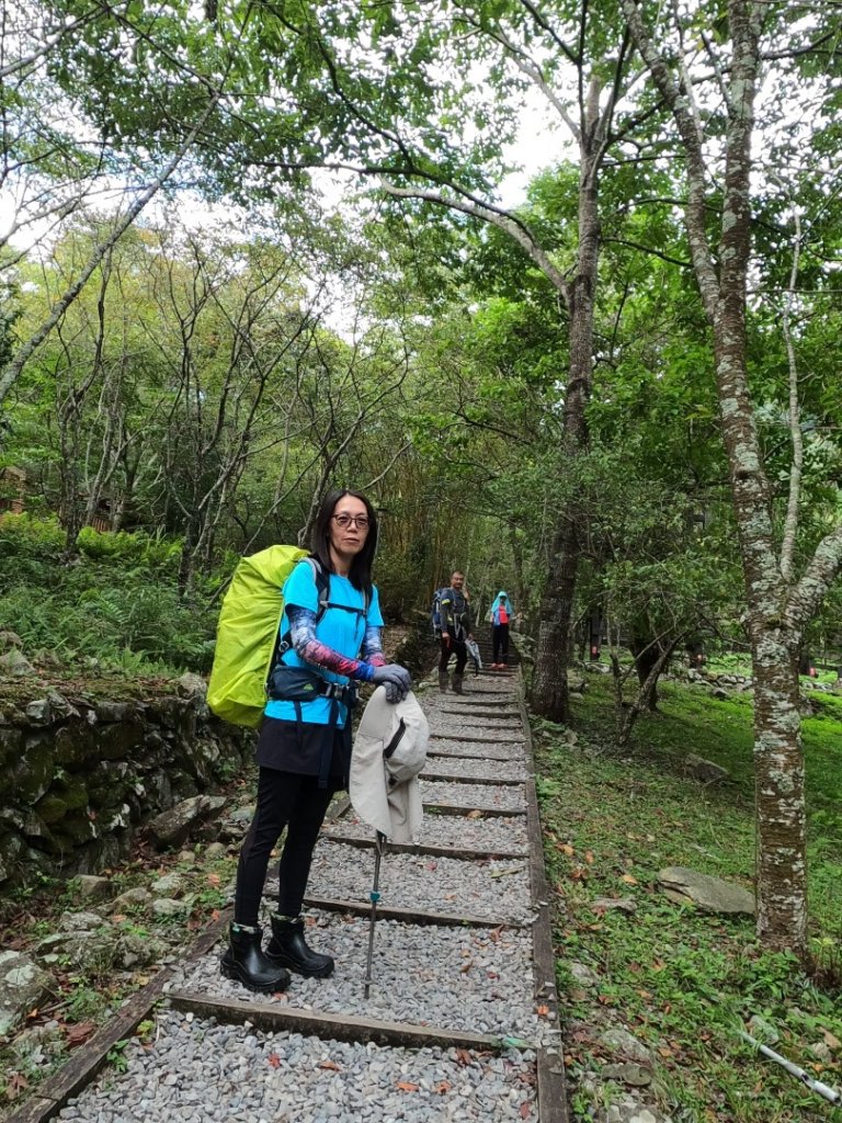 1090912八仙山主峰步道封面圖