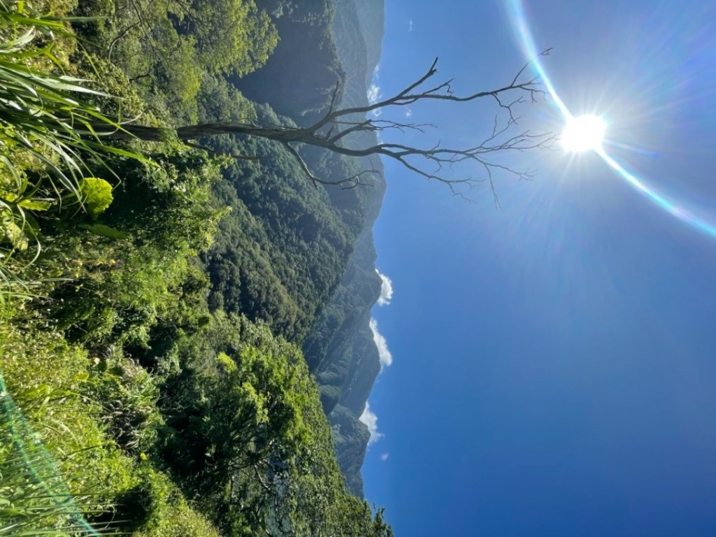 錐麓古道看斷崖和虎頭蜂_1480124