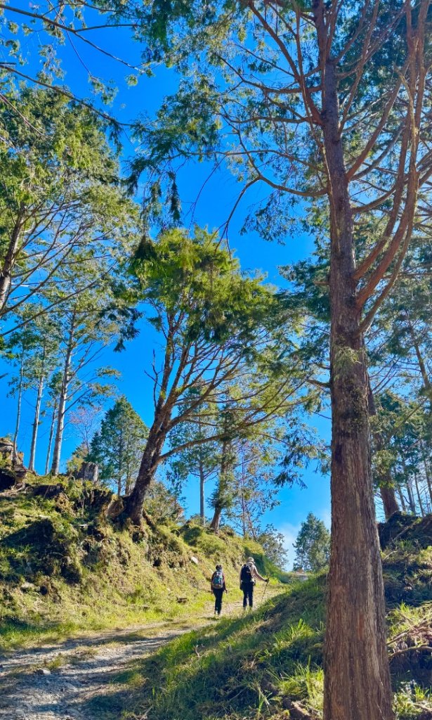 三星山(小百岳#85) 鳩之澤溫泉煮蛋趣_2953226