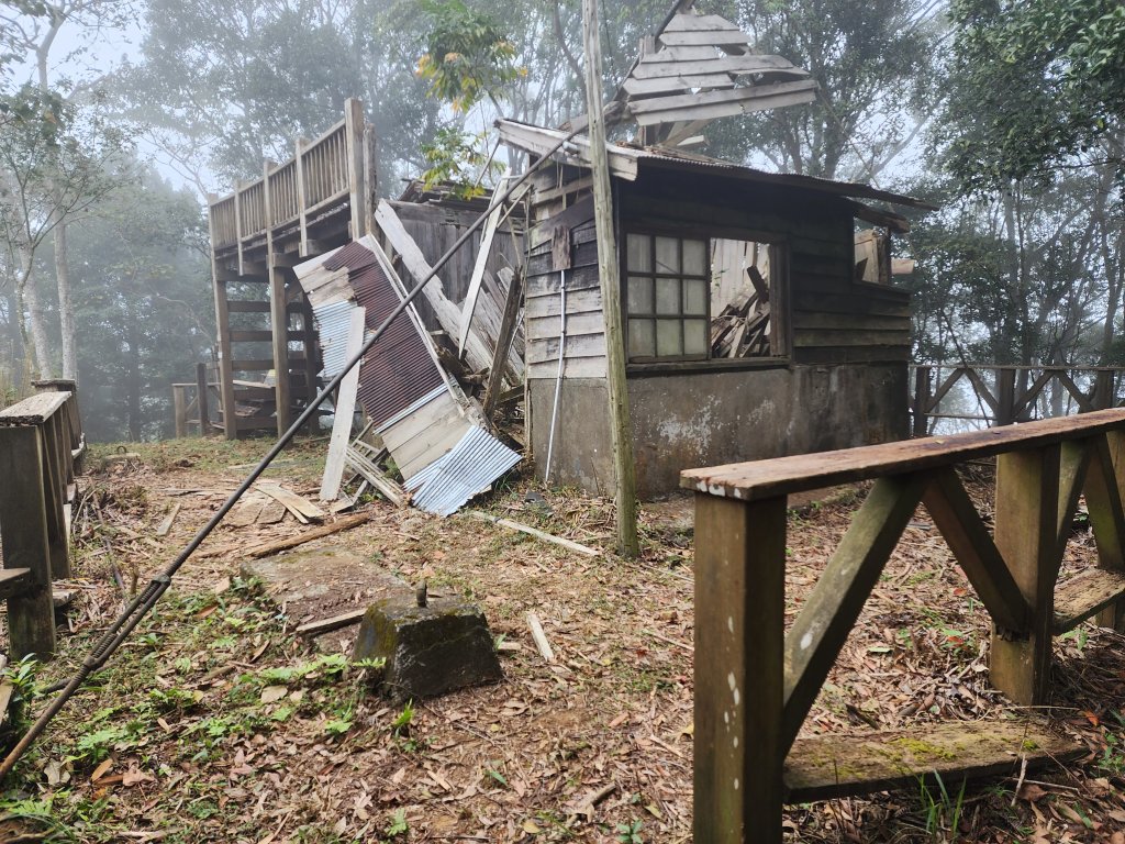 20231203茶園坪山至橫屏背山來回（蕃婆石山放棄）封面圖