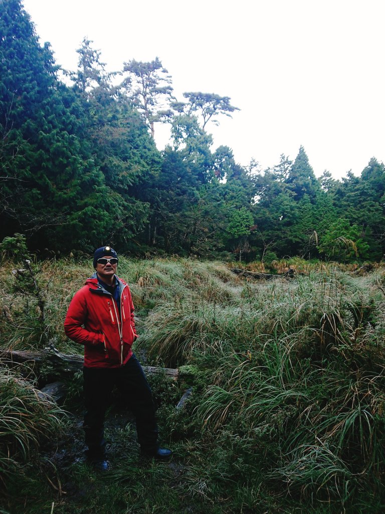 加羅湖--201902_531009