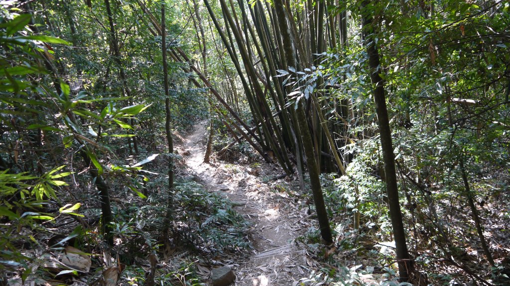 白毛山登山健行趣（中級山）_1509845