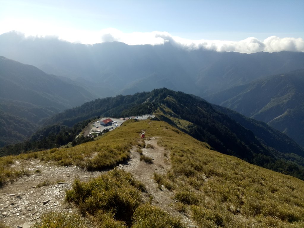 合歡山主峰合歡山南峰賞玉山杜鵑_1858526