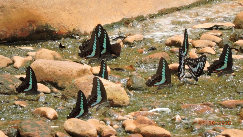 就是喜歡這個藍天白雲的FU_1028339