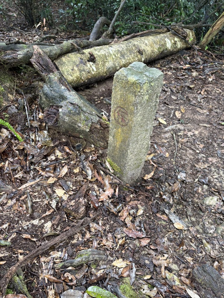 20251227尾寮山登山步道_2970529