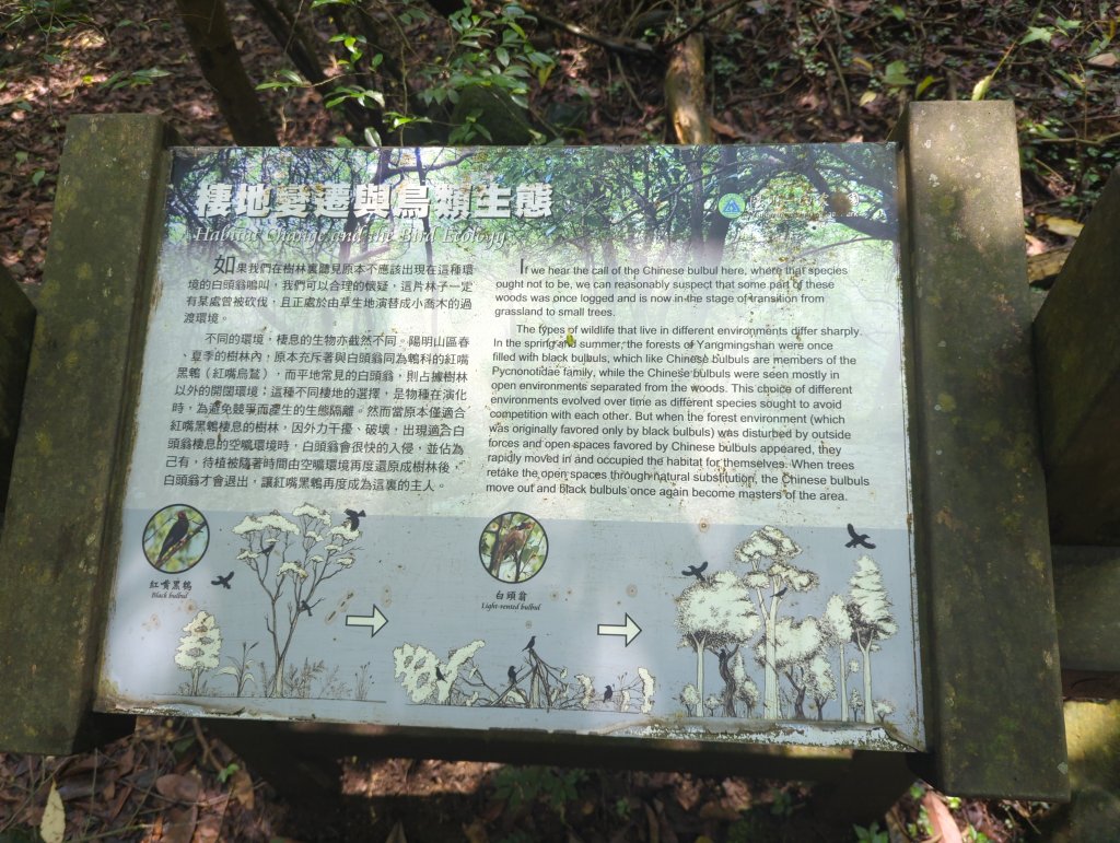 2025.04.27－金包里大路~小油坑縱走_2770914