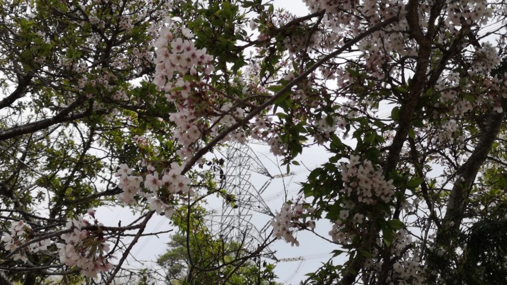 巴庫拉斯，七彩湖_1339054