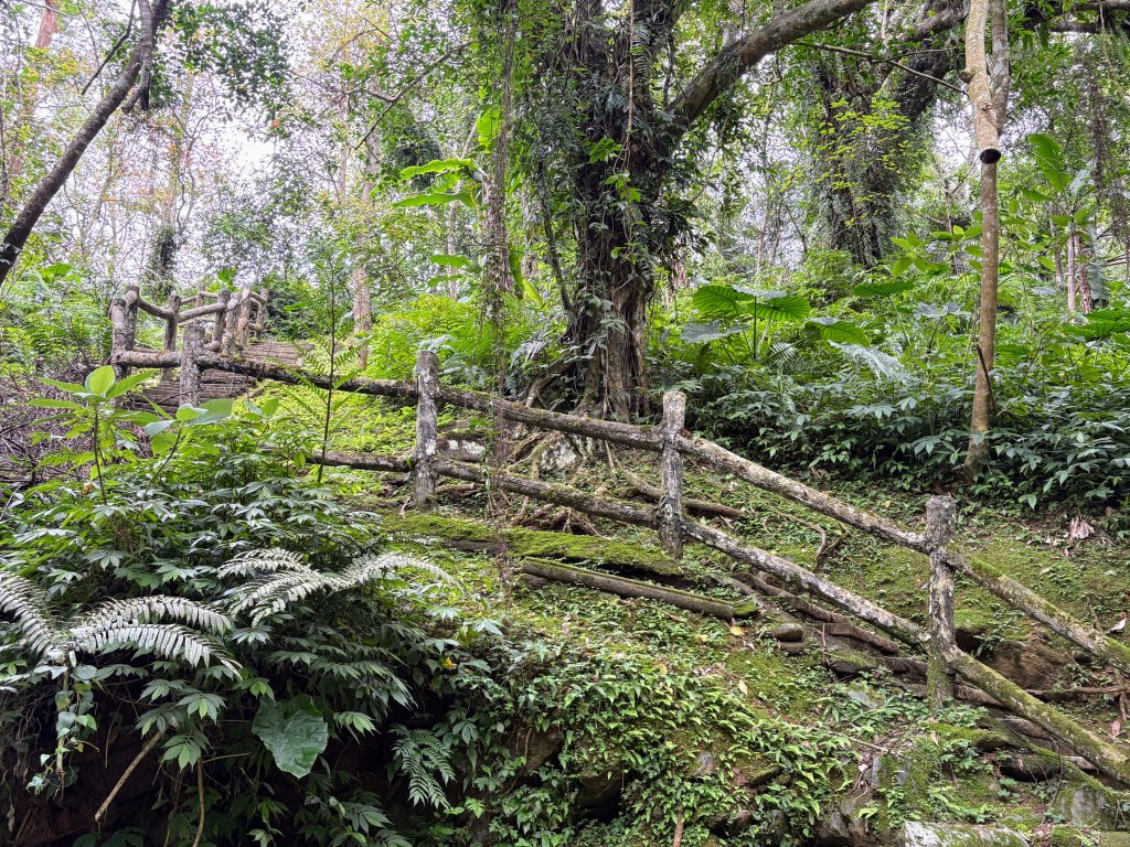 鯉魚山步道群_2728300