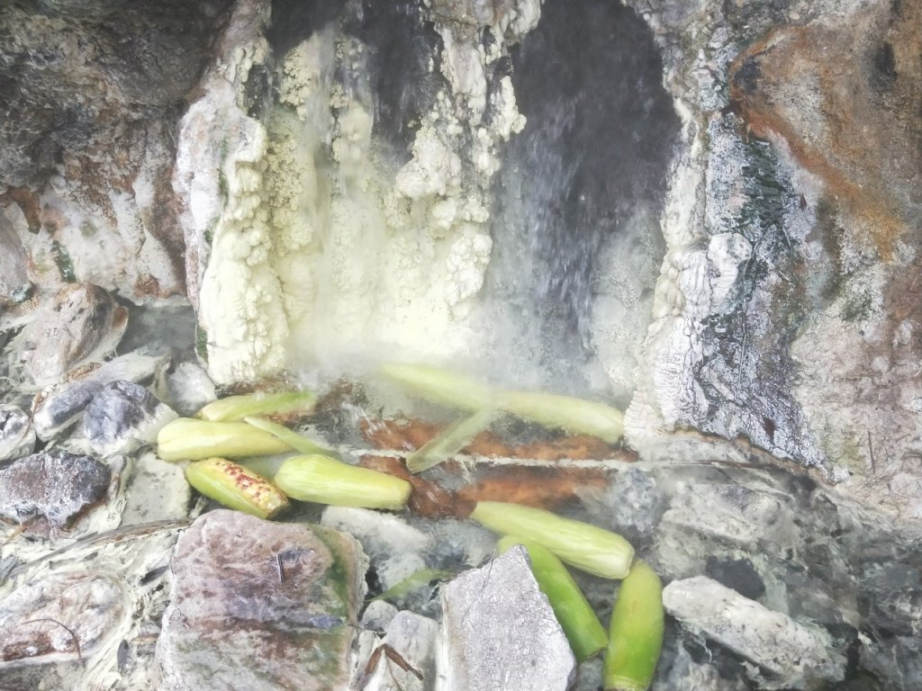 2021010910 樂樂谷溫泉_1235252