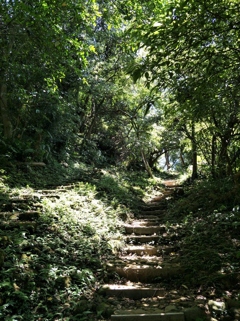 2020 08 19 土城五秀縱走_1072573