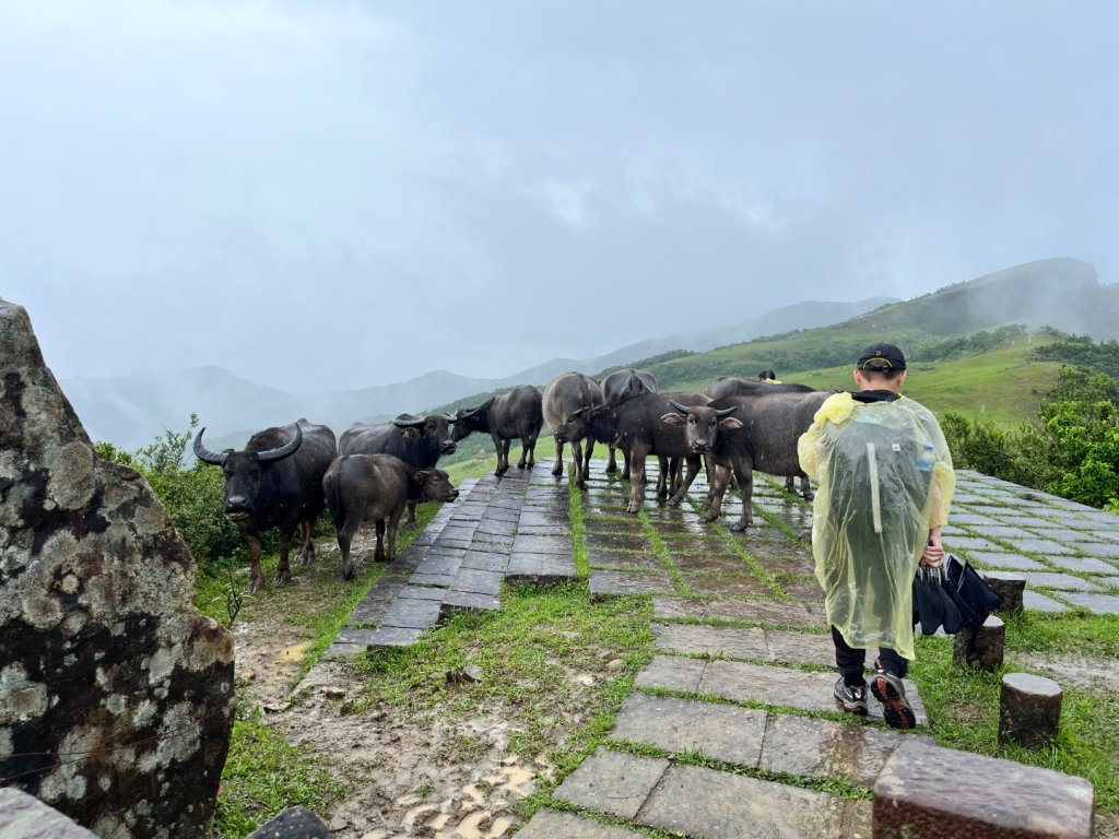 20250507_桃源谷步道封面圖