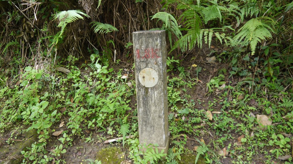 錐麓古道登山健行趣(古道)_1741935