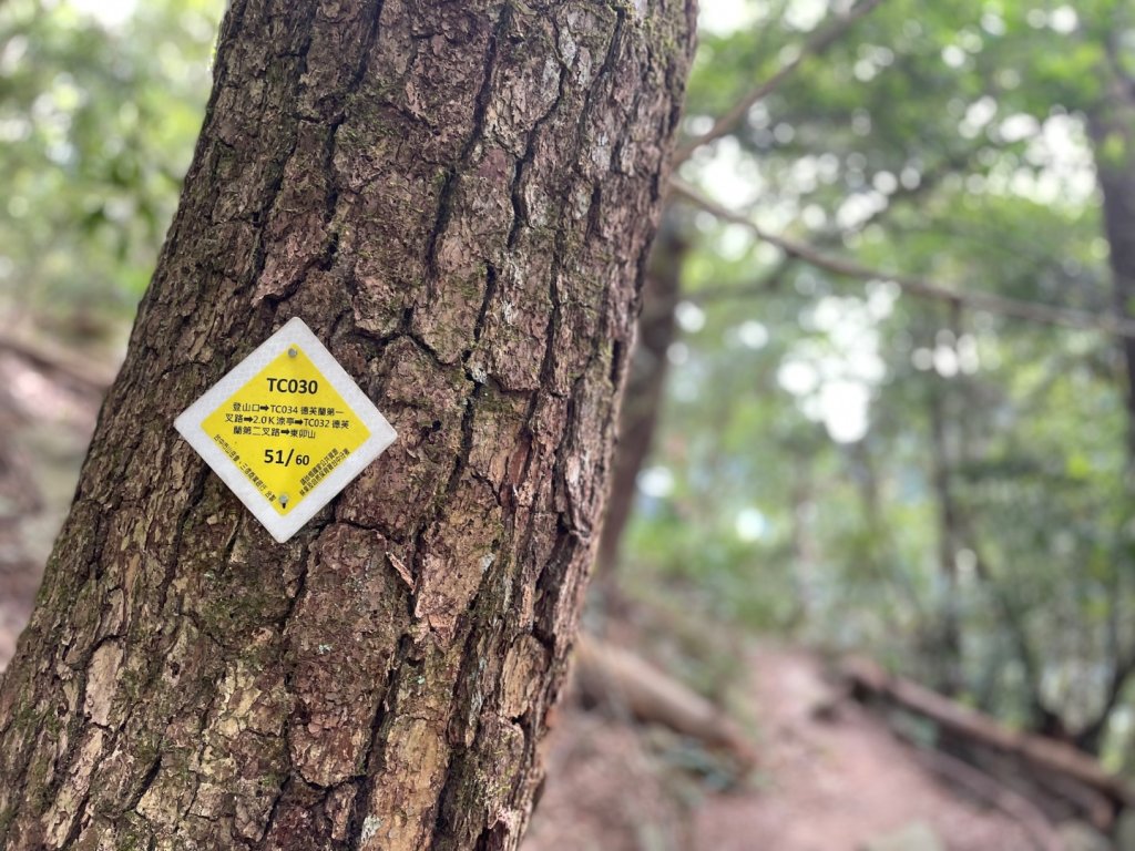 谷關七雄｜一日東屋縱走_2923853