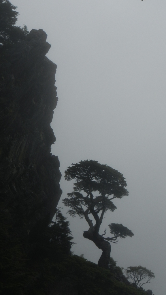 【山岳之美】103.06.23-26武陵四秀_5271