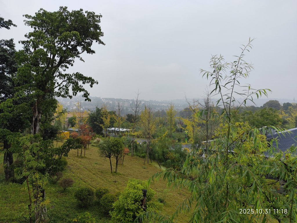 四川成都大熊貓繁育研究基地_2940732