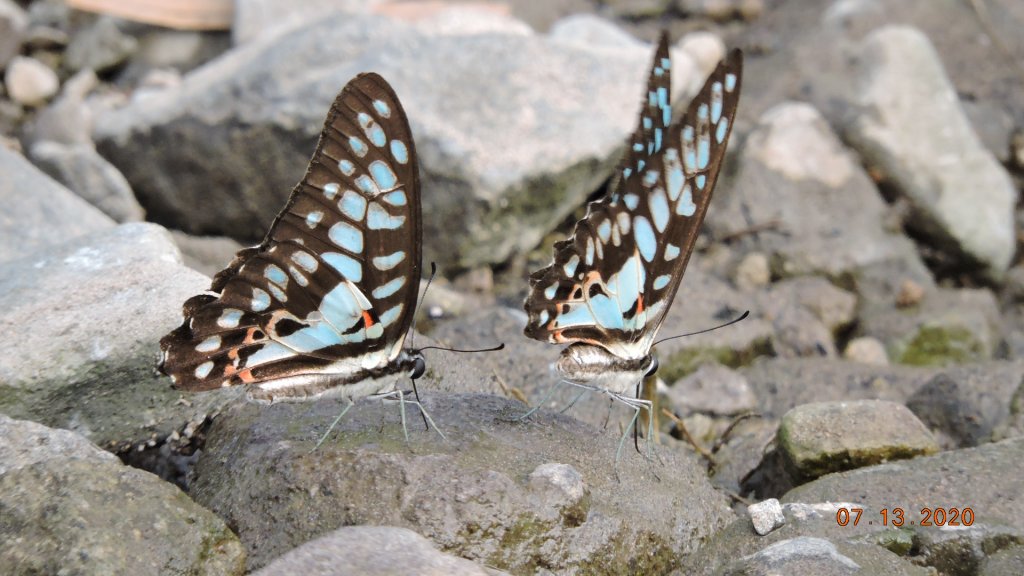 就是喜歡這個藍天白雲的FU_1032118