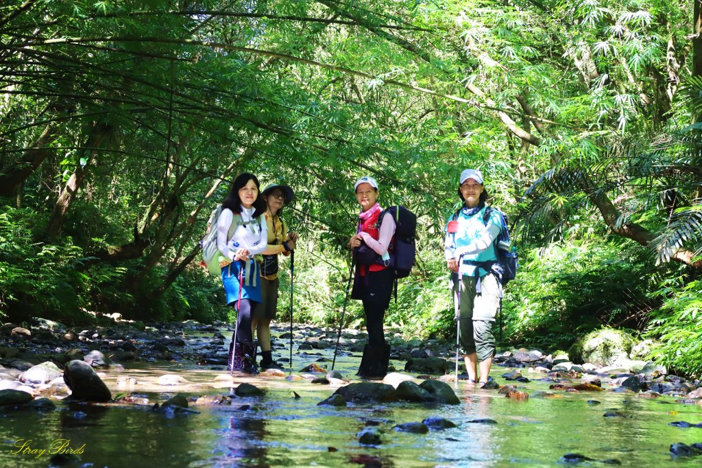 【淡蘭中路秘境】美得令人窒息的坪溪水路_1453320