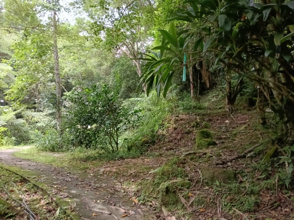 平溪區平溪子山遇雷雨O型_2850086
