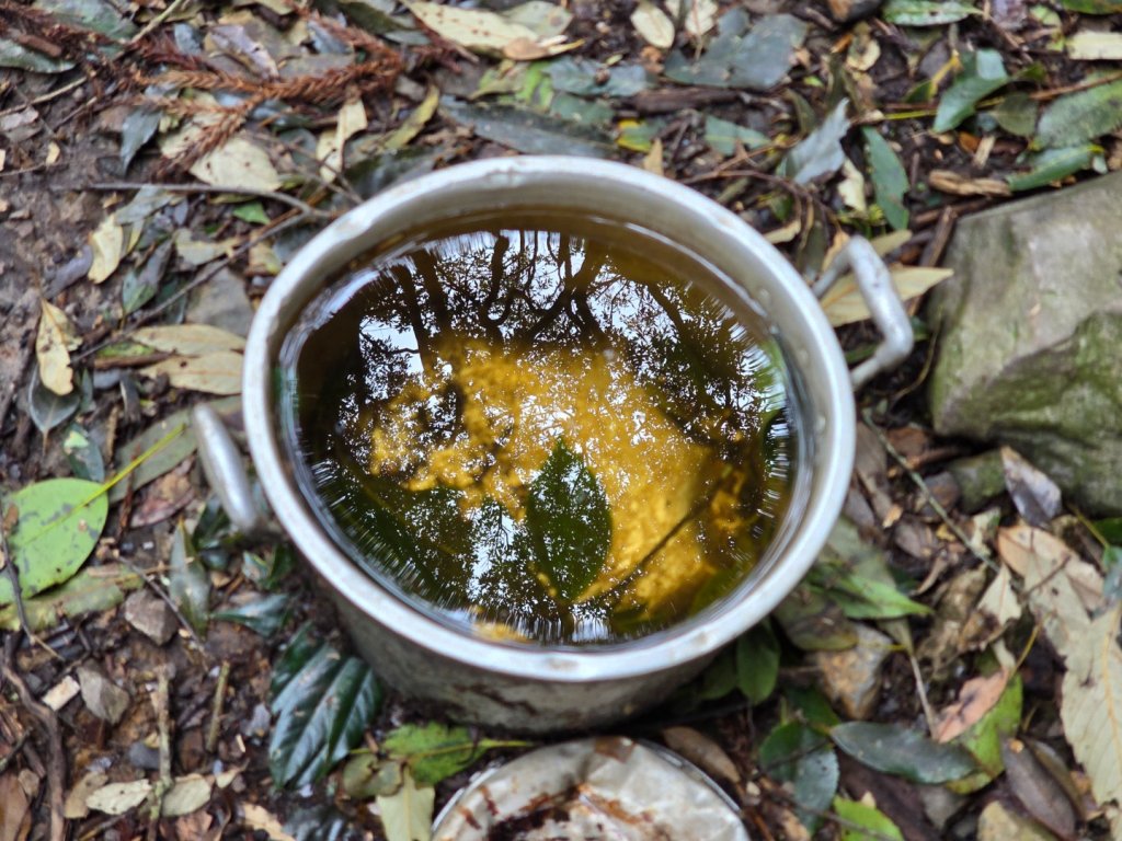 谷關七熊馬崙山_2748798