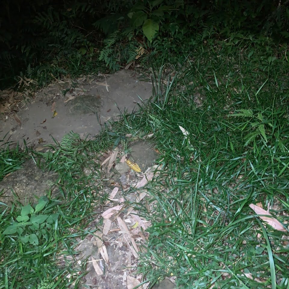 2022.07.24 【臺北大縱走第六段】福州山公園-中華科大_1786822