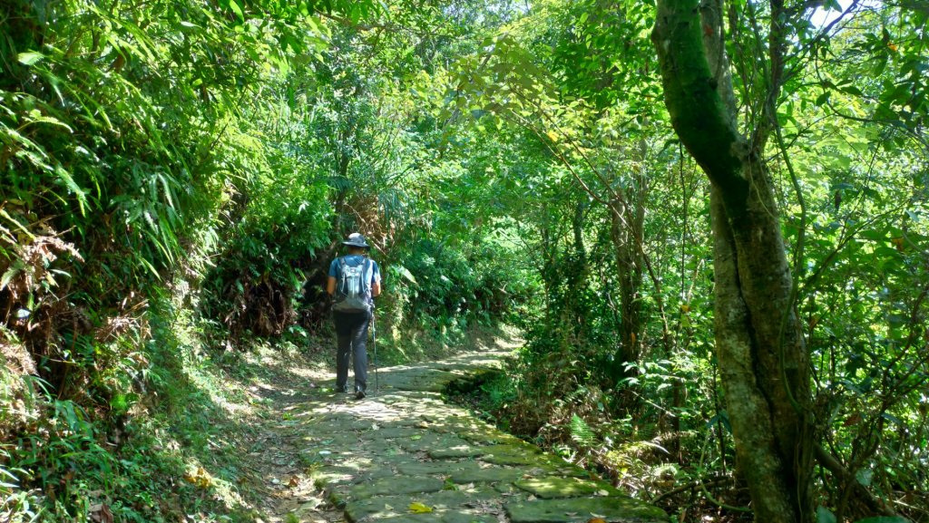 北縱走(劍潭到七星山)_632365