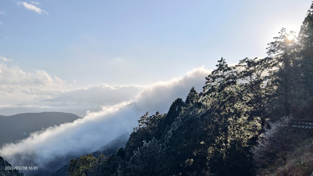 #霧淞 #雲海 #雲瀑 #霧虹 #太平山 #望洋山 #觀雲步道 #翠峰道路  2/8_2995285