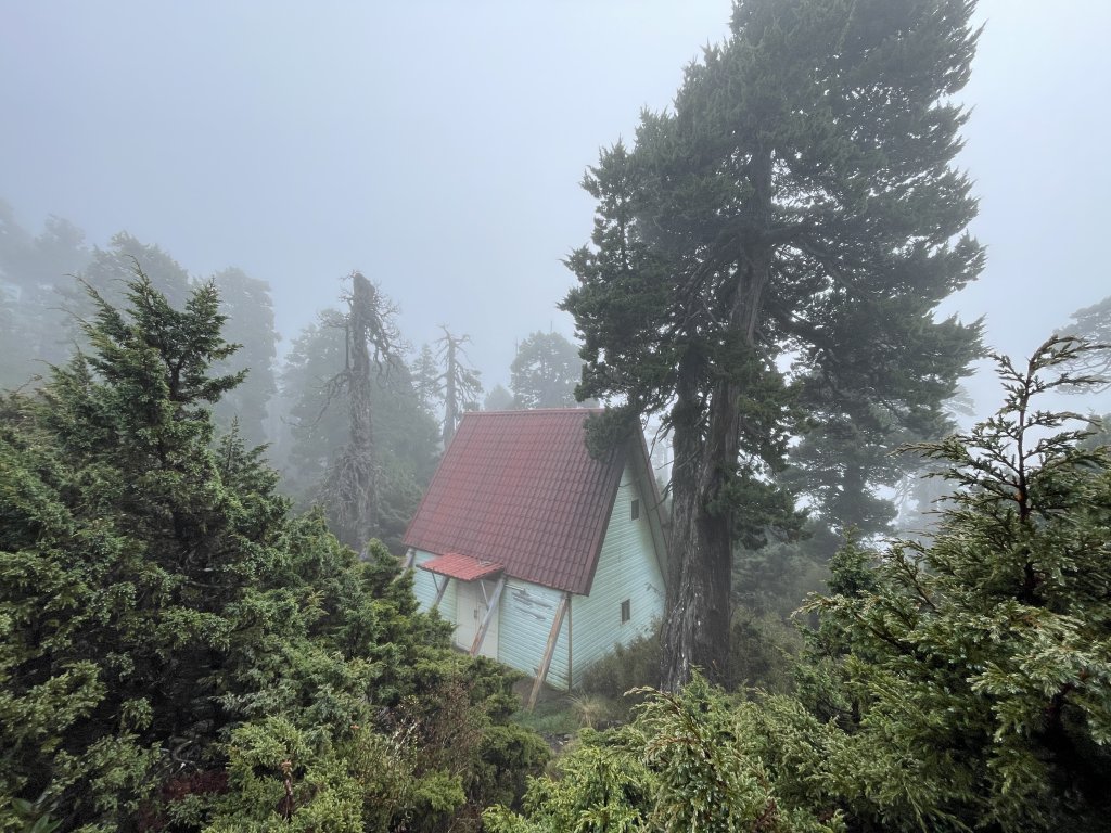 一日小O聖 2024 11/22封面圖