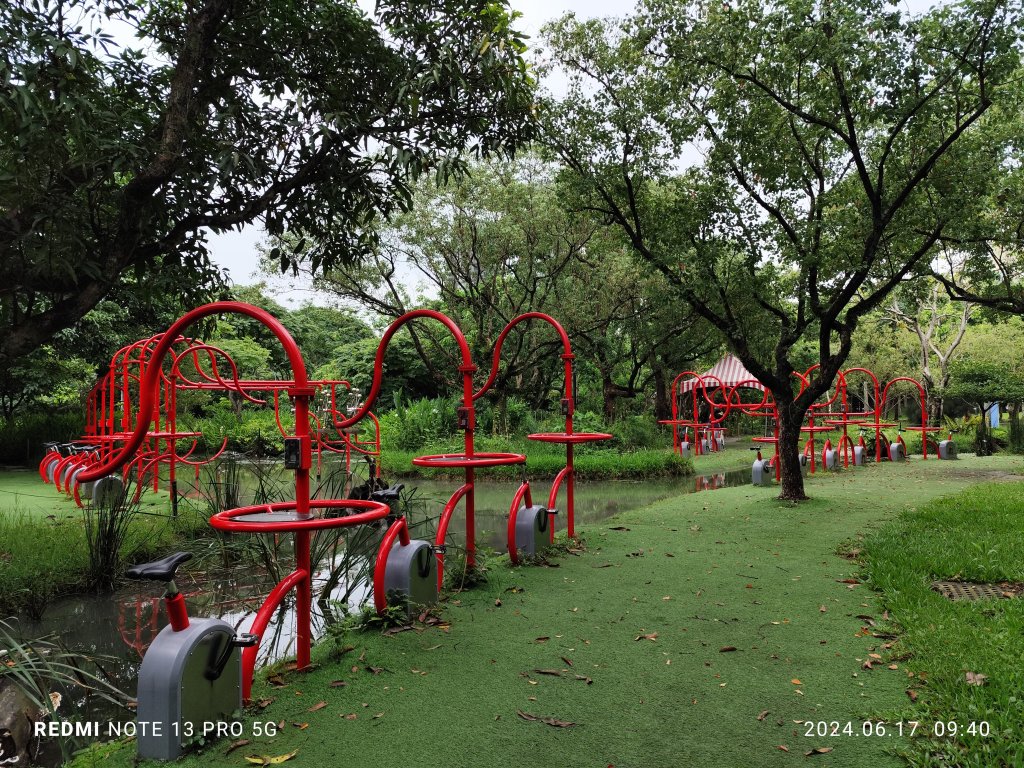 大安森林公園【走路趣尋寶，全臺齊步走】封面圖