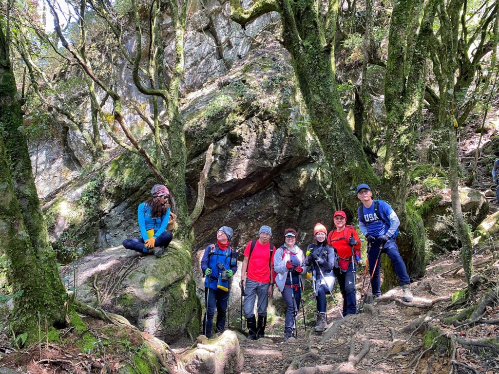 加里山 - 大坪登山口 杜鵑嶺上 二坪下_1280255