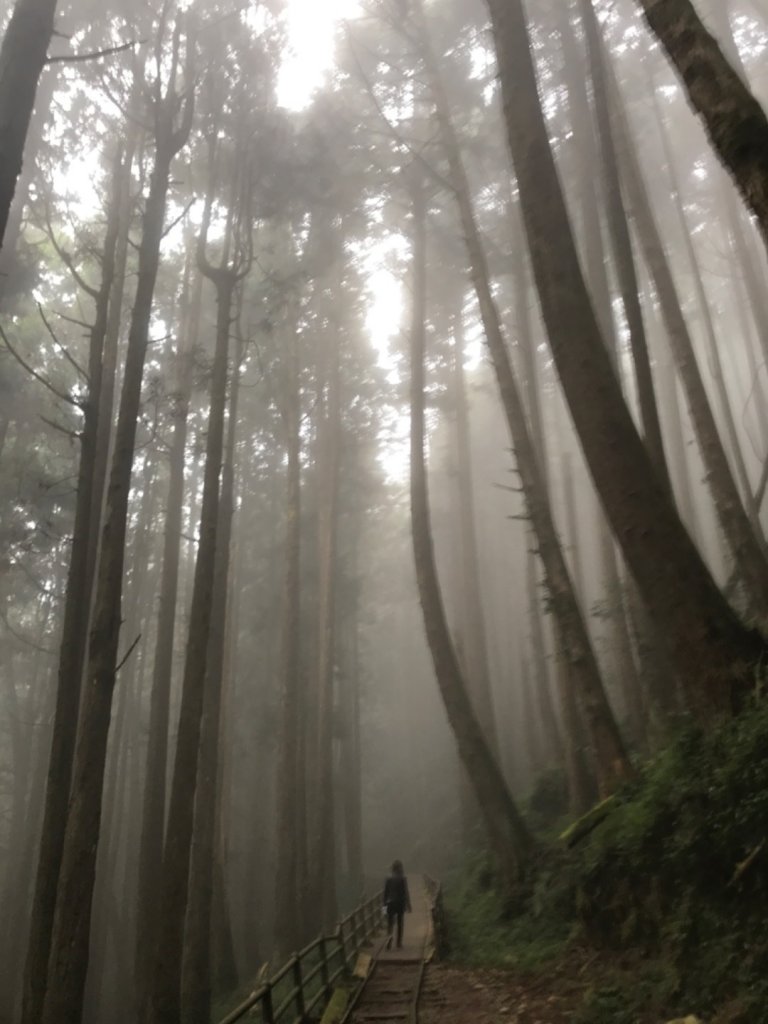 特富野古道_903212