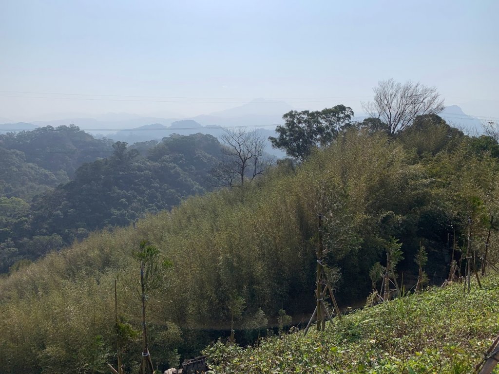 十二寮登山步道20230228_2045373