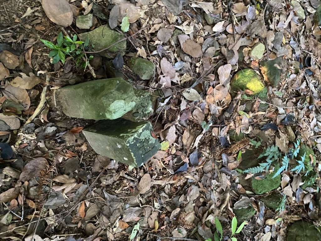 033仙山(神仙縱走）_2604258