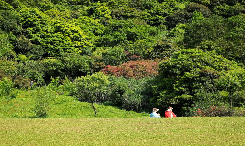 陽明山國家公園小放鬆_916922